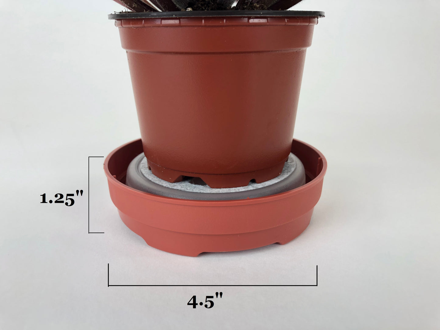 optimara watermaid self watering for violets and house plants