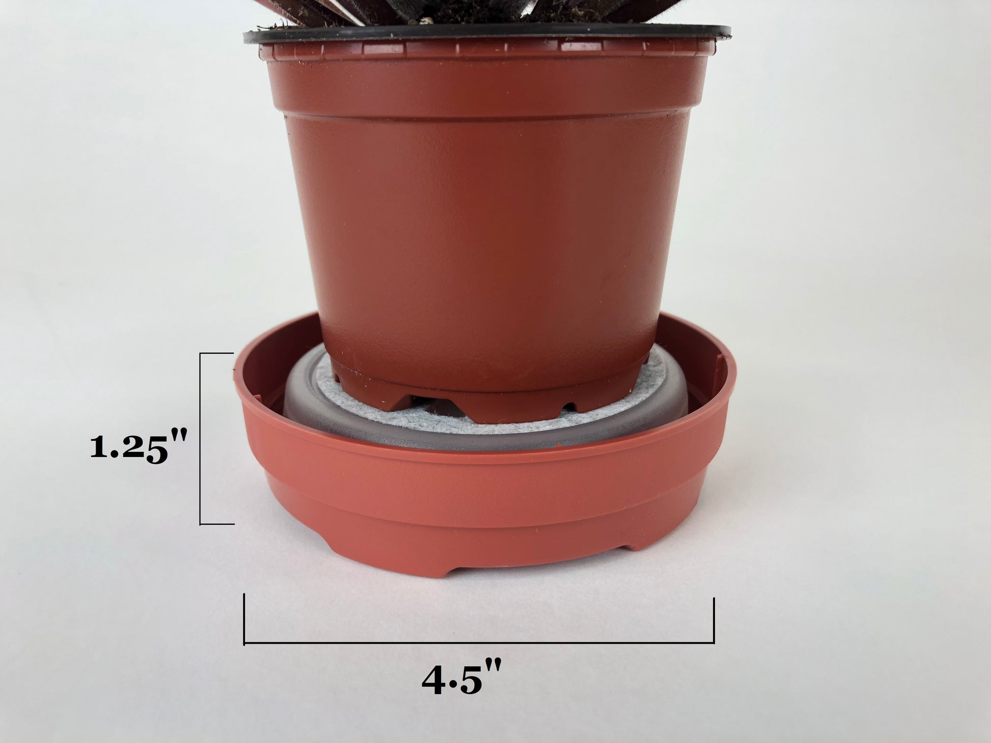 optimara watermaid self watering for violets and house plants