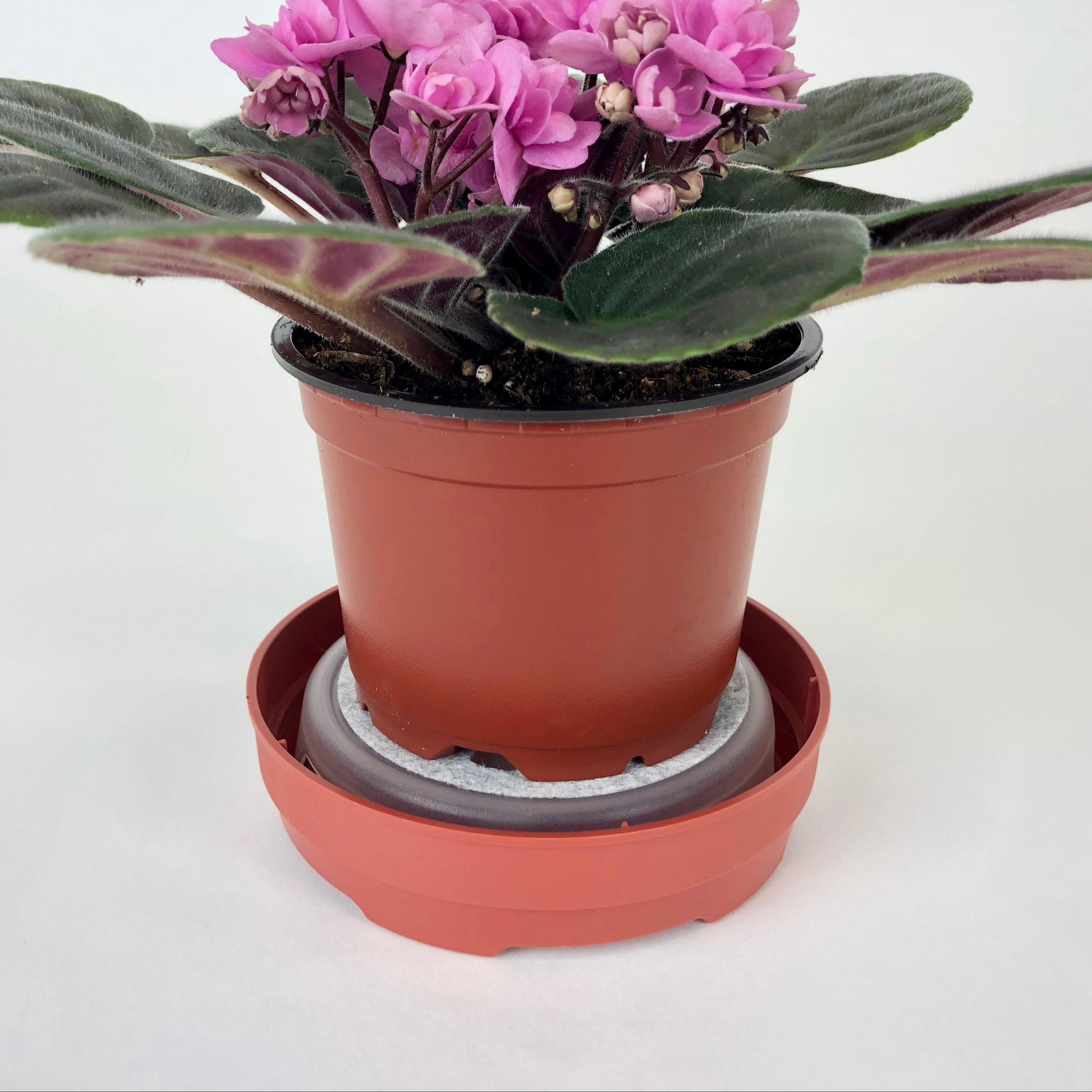 optimara water maid self watering system